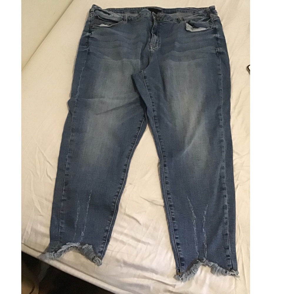 Lane Bryant Blue Skinny Jeans